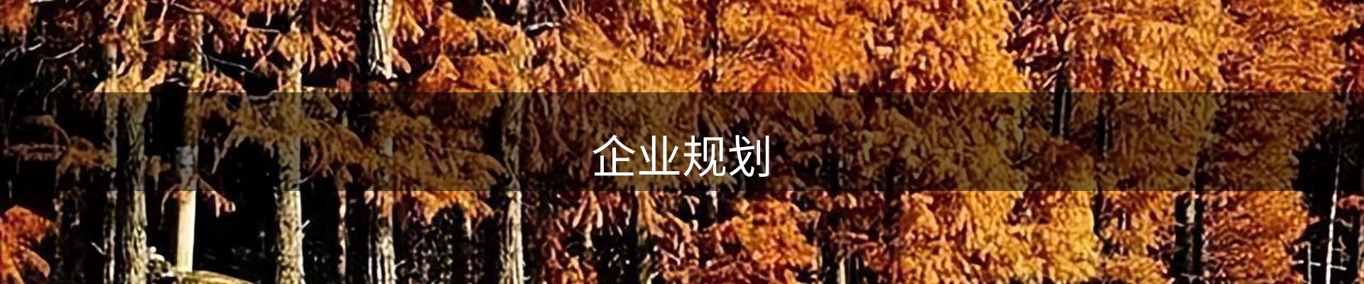 企业规划